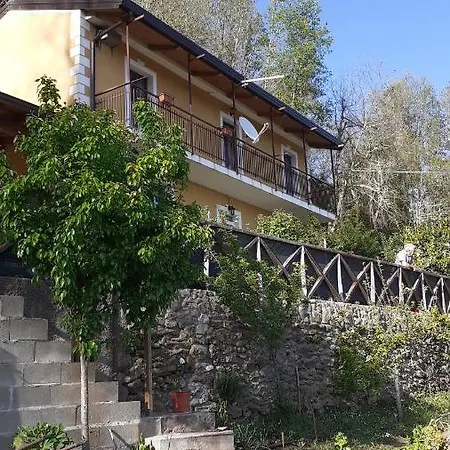 Tarassaco Telara